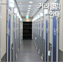 커리큘럼 안내